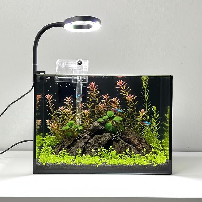 Nano Aquarium Kit 2.2 Gallon, Rimless Glass Betta Fish Tank with Filter & LED Light, 12" x 6" x 8" Small Desktop Fish Tank for Home Office (Black, Complete)