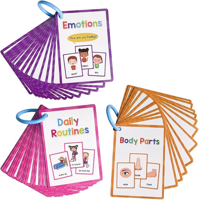 Lachilly 12 Themes Learning Flashcards, High Frequency Words, Beginning Reading, Kindergarten to 1st Grade, ESL Teaching Materials, Autism Learning Materials, Vocabulary Building, 205 Cards, 386 Words