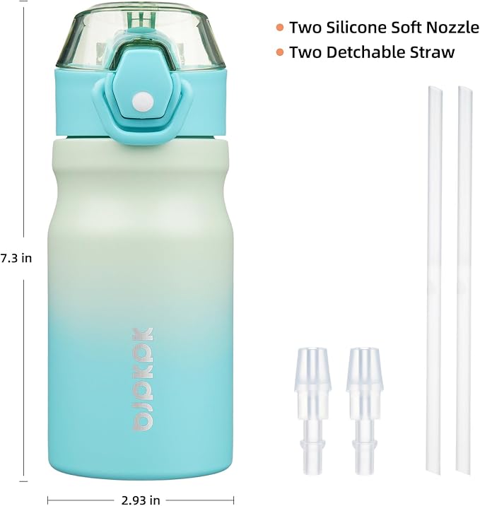 BJPKPK Water Bottle with Straw 14oz Insulated Water Bottles Reusable Stainless Steel Metal Thermal Flask with Leak Proof Lockable Lid and Carry Handle,Mint