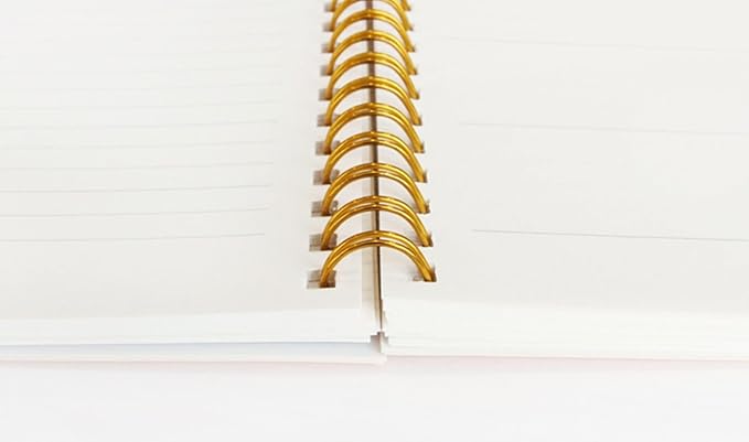 PAPERIAN Brilliant Monthly & Weekly Planner - Wirebound Undated Monthly &Weekly Planner Book Scheduler Diary (Shell Pink)