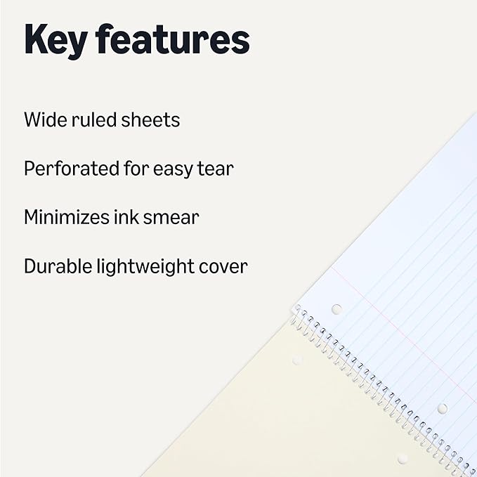 Amazon Basics Wide-Ruled Spiral Notebooks with Perforated Pages, 70 Sheets, 8" x 10.5", Light Blue, 2-Pack