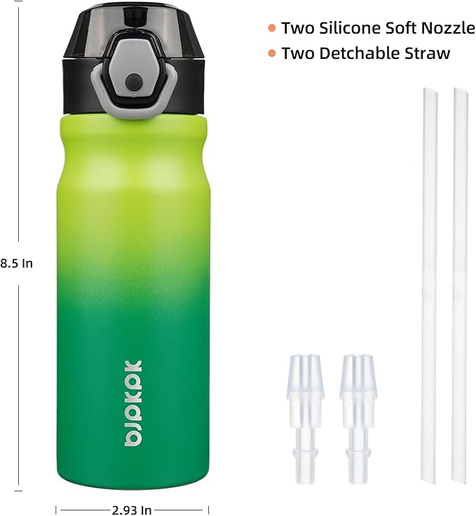 BJPKPK Stainless Steel Insulated Water Bottle with Straw Lid 18oz Reusable Metal Thermal Flask Bottles Keep Cold and Hot,Bamboo Grove