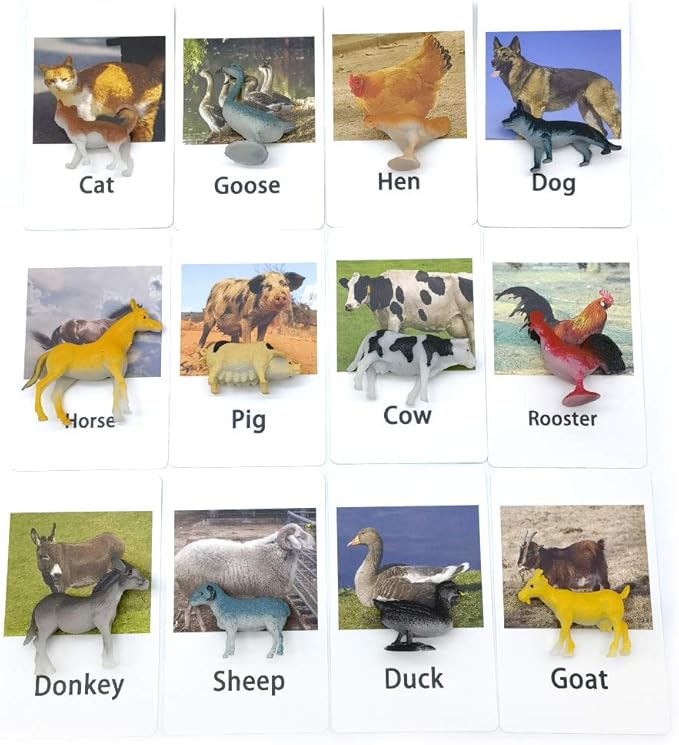 MEROCO Montessori Animal Match Cards Miniature Poultry Animals with Matching Cards - 2 Part Montessori Learning Toy, Language Materials TZX106