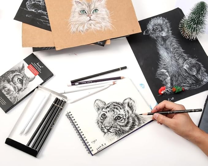 Brusarth Charcoal Drawing Set -12 pc Black charcoal pencils, White Charcoal Pencils, Eraser Pencils, Blending Stumps for Drawing, Sketching, Shading, Artist Pencils for Beginners & Artists