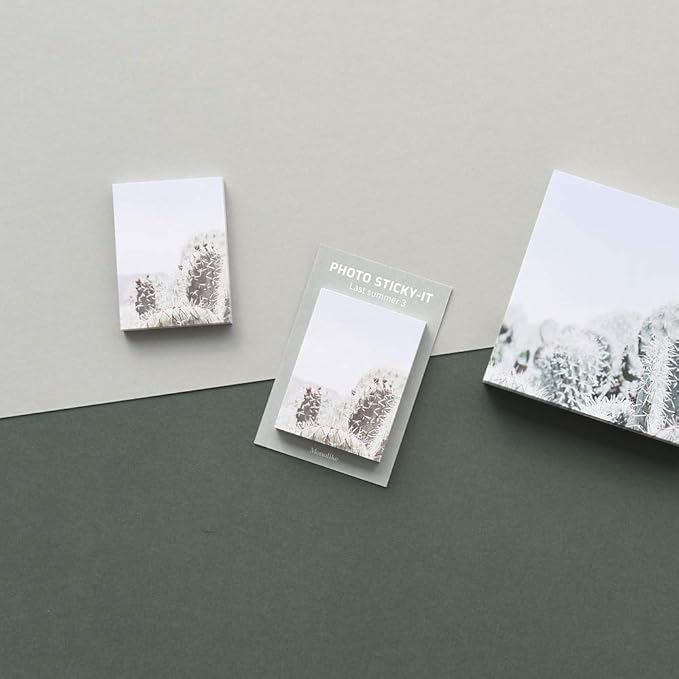 Sticky 5P Set - E (Last Summer A)