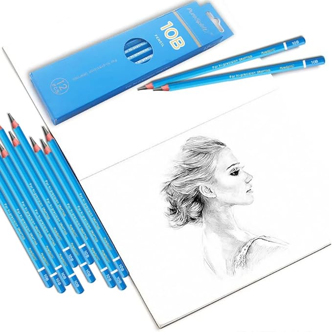 Sketch Pencils for Drawing, 12pcs Professional Art Drawing Pencils for Shading, Sketching & Doodling | Graphite Pencil for Artists & Beginners - 10B