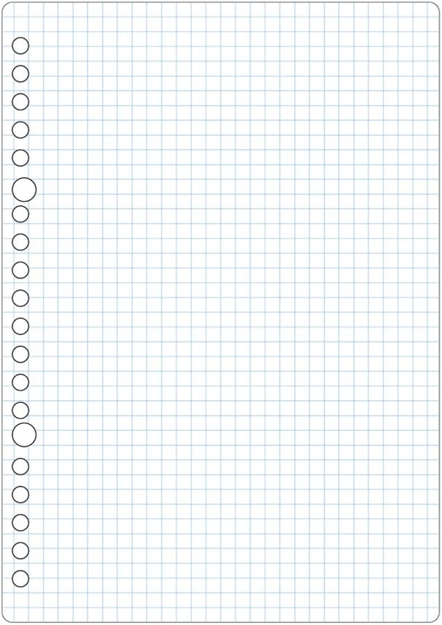 Maruman L1307 Loose Leaf A5 Square 0.2 inch (5 mm), 50 Sheets Set, 5 Pieces