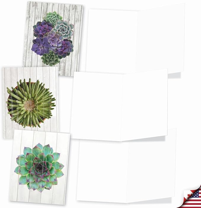 The Best Card Company - 20 Assorted Blank Plant Cards Boxed (4 x 5.12 Inch) (10 Designs, 2 Each) - Shiplap Succulents AM6438OCB-B2x10