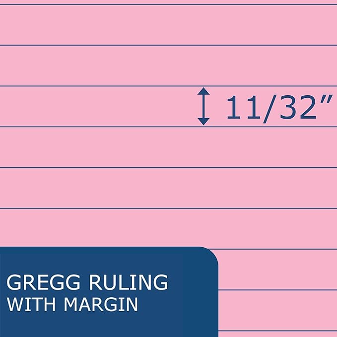 ROARING SPRING Enviroshades Colored Steno Books, 24 Pack of Memo Pads, Recycled Pink Paper, 6" x 9", 80 Sheets, Gregg Ruled, Perforated, Wirebound, Heavy Chipboard Back
