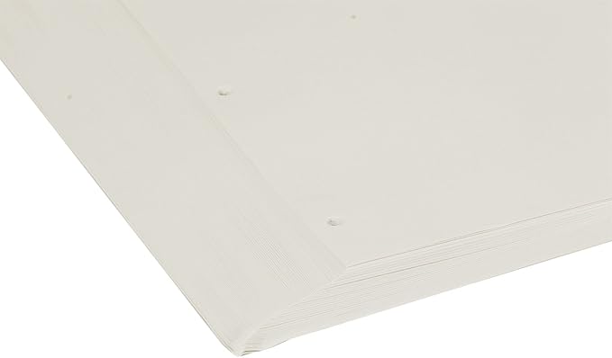 A4 Refill Paper 4 Hole Punched Filler Paper Refills for A4 Loose Leaf Notebook Travel Journal Personal Diary Planner Binder Scrapbook, 80 Sheet, 160 Page, Blank Paper, 8.3 Inches x 11.5 Inches