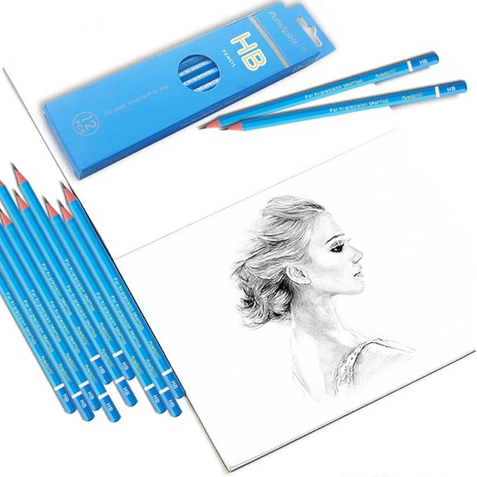 Sketch Pencils for Drawing HB, 12pcs Professional Art Drawing Pencils for Shading, Sketching & Doodling | Graphite Pencil for Artists & Beginners