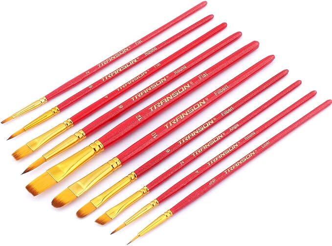 Transon 20pcs Artist Painting Brush Set for Acrylic Watercolor Gouache Hobby Craft Face Rock Painting Black and Red
