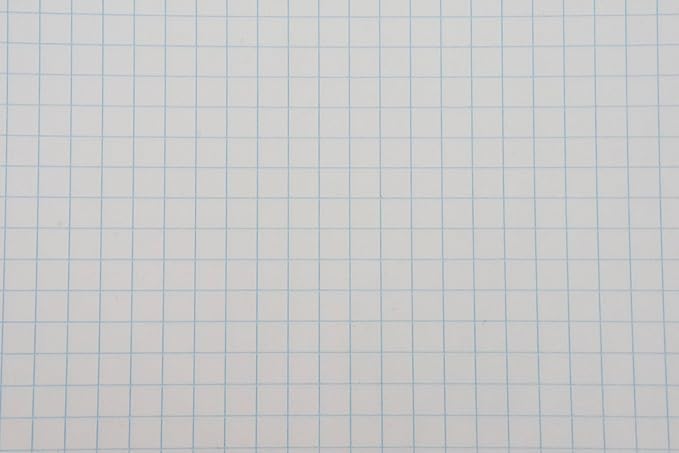 School Smart-86667 Double Sided Grid Paper, 3 Hole Punched, 8-1/2 x 11 Inches, 1/4 Inch Rule, White, Pack of 500