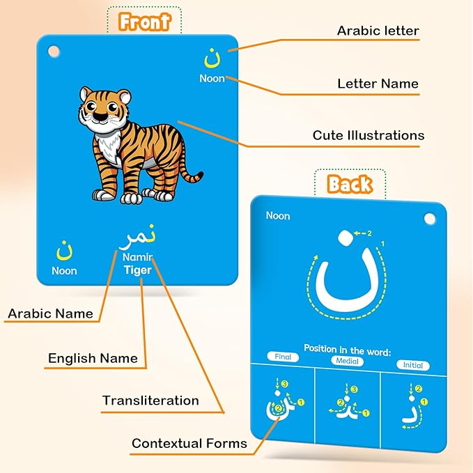 48 Arabic Toddler Flash Cards, Baby Cognitive Flashcards for Kids, Learn Arabic Letters, Number, Color, Shape & Sight Words, Educational Toys with English Transliteration for Preschool Kindergarten