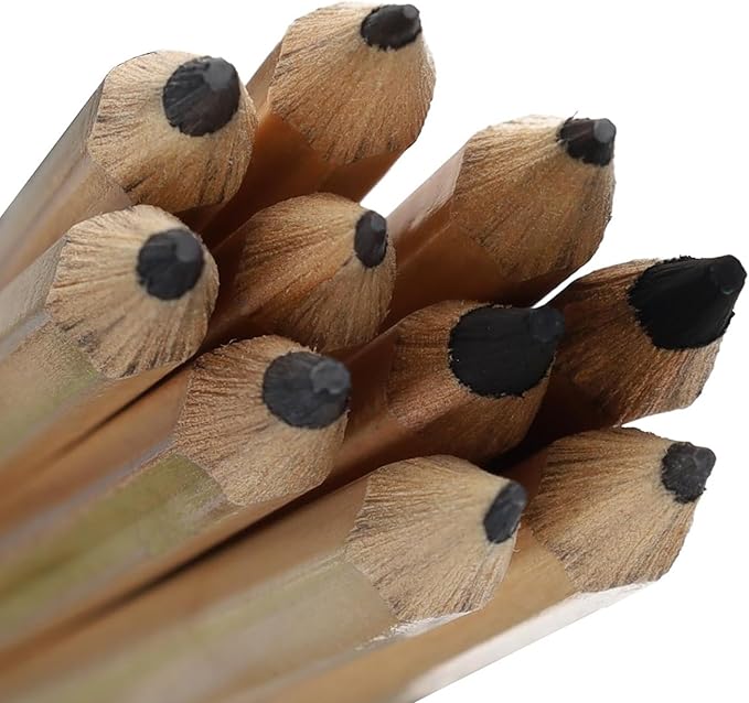 PRO ART 3077 10-Piece Dry Media Pencil Set,Black