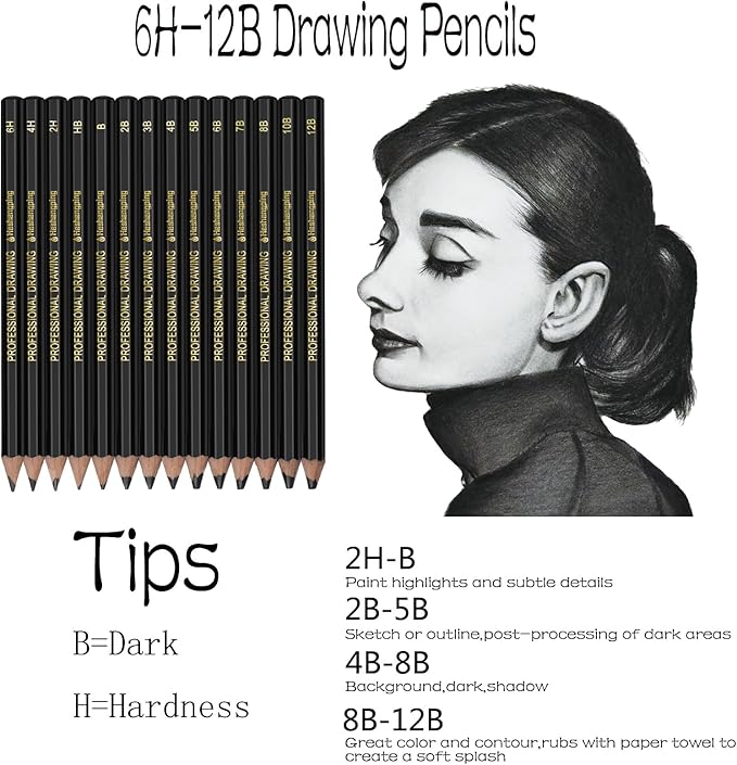 Heshengping Drawing Sketch Pencil Set 14pcs Sketching Pencils 12B 10B 8B 7B 6B 5B 4B 3B 2B B HB 2H 4H 6H Graphite Pencils for Kid Adults Artists Student Beginners Professional