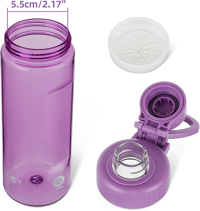 OLDLEY Water Bottles 20oz BPA Free Tritan Water Bottle with Carry Handle and Spout Lid, Leakproof Kids Water Bottle for Home,Travel, School, Outdoors, Dark Purple