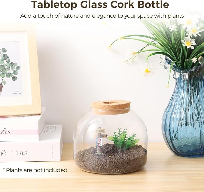 54 oz Glass Fish Bowl Vase with Cork Lid, Clear Bubble Planter Vase Globe Flower Centerpiece, 3 Inch Open Mouth Round Terrarium Vases, 6 Inch Diameter x 5 Inch Height (2PCS)