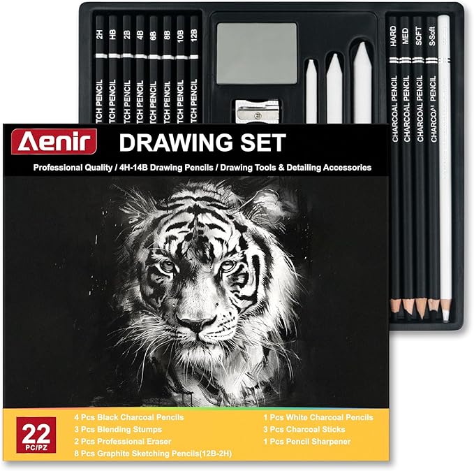 Aenir Charcoal Pencils for Drawing, Set of 22, Professional Drawing Sketch Pencils, Charcoal Art Supplies for Sketching, Shading, Artist Charcoal Supplies for Beginners & Pro Artists.