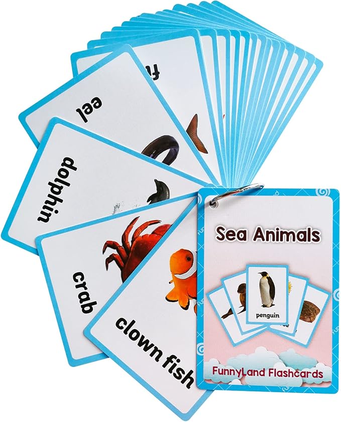 Lilias Sea Animals Flash Cards, Toddler Learning Toys, Preschool Learning Toys, Homeschool Supplies, Learning Supplies for Kindergarten, 4.3 X 3.14 Inch, 20 Cards in Set