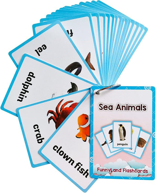 Lilias Sea Animals Flash Cards, Toddler Learning Toys, Preschool Learning Toys, Homeschool Supplies, Learning Supplies for Kindergarten, 4.3 X 3.14 Inch, 20 Cards in Set