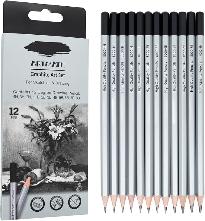 12 Pieces Graphite Sketching Pencils Set (8B-4H), Sketch Pencils for Drawing, Shading and Drafting, Art Supplies Kit for Artists, Adults