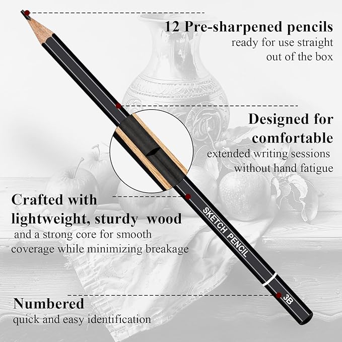 Aenir Sketch Pencils for Drawing, Set of 12 Drawing Pencils for Sketching Medium (6B - 4H), Artist Graphite Pencils, Sketch Set for Artists for Sketching Supplies, Art Supplies.