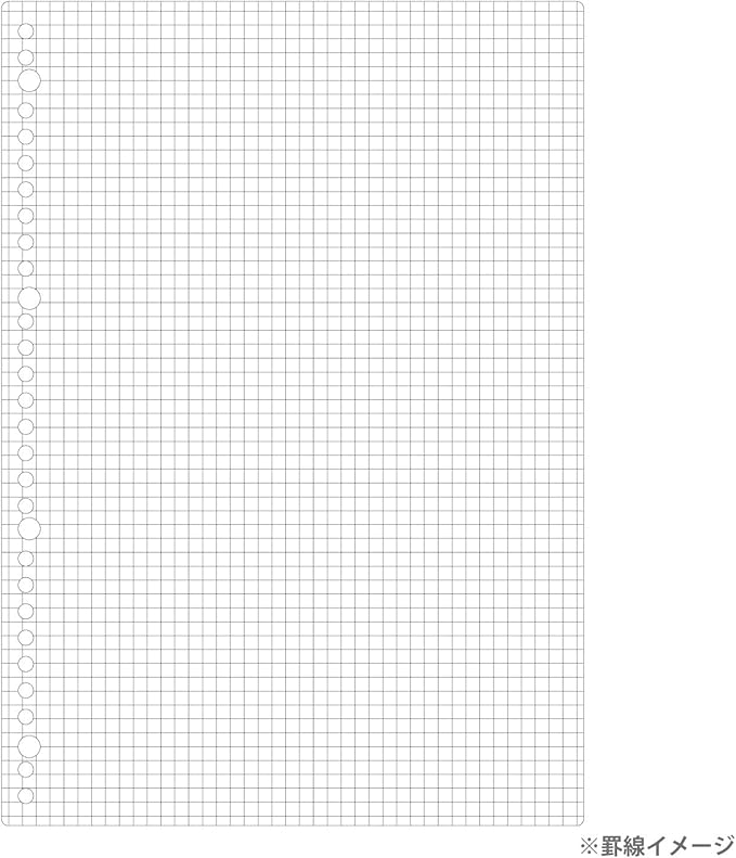 Maruman 30-Hole Loose Leaf Grid Sheets, A4, 8.27" x 11.69", 5mm Graph Paper Refill, 100 Sheets, Compatible With Maruman Session and Five Chart Binders, Made in Japan