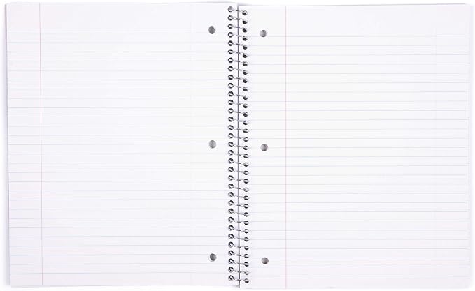 Mintra Office Durable Spiral Notebooks, 1 Subject, (Teal, Wide Ruled 12pk), 100 Sheets, Poly Pocket, Moisture Resistant Cover, School, Office, Business, Professional