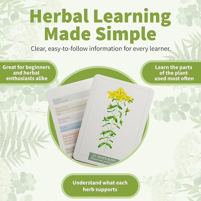 Herb Notes Flash Cards – Educational Plant Learning Cards with Botanical Illustrations – 48-Card Set for Plant Identification, Nature Study & Classroom Learning