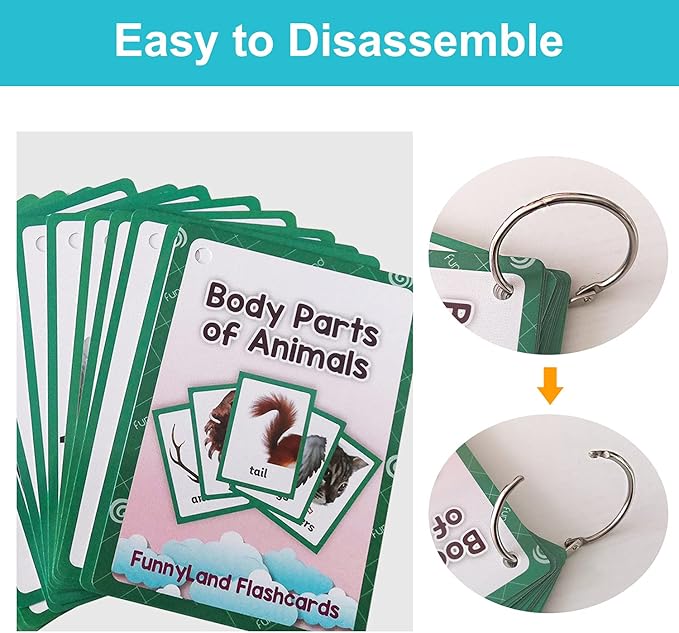 Lilias Body Parts of Animals Flash Cards, Toddler Learning Toys, Preschool Learning Toys, Homeschool Supplies, Learning Supplies for Kindergarten, 4.3 X 3.14 Inch, 12 Cards in Set