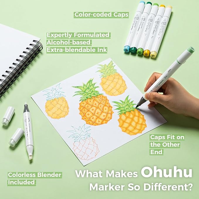 Ohuhu Alcohol Markers Brush Tip, AP Certificated 24 Basic Colors Double Tipped Alcohol Based Art Marker Set for Artist Sketching Adult Coloring Illustration - Brush and Chisel Dual Tips - Honolulu