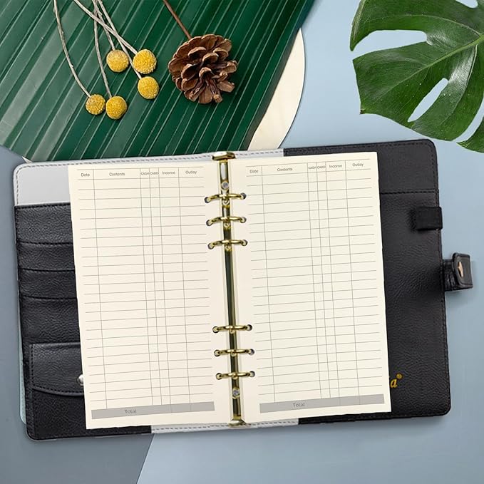 A6 Planner Inserts Binder Refill Paper,for Filofax/6 Ring Notebook Budget Binders, 45 sheets/90pages, 100Gsm Quality, Harphia (A6 3.74 x 6.77'',Finance)