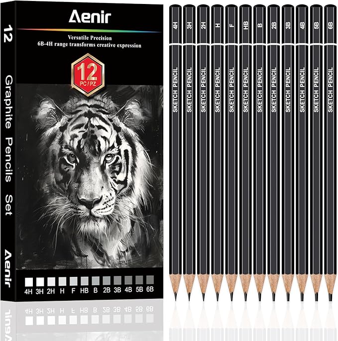 Aenir Sketch Pencils for Drawing, Set of 12 Drawing Pencils for Sketching Medium (6B - 4H), Artist Graphite Pencils, Sketch Set for Artists for Sketching Supplies, Art Supplies.