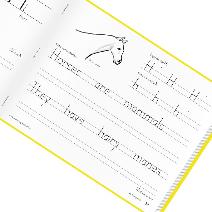 Learning Without Tears, My Printing Book, Student Workbook, Age 6+, 1st Grade+, Handwriting Practice, Writing Book, School & Home, Language Arts, Tutoring