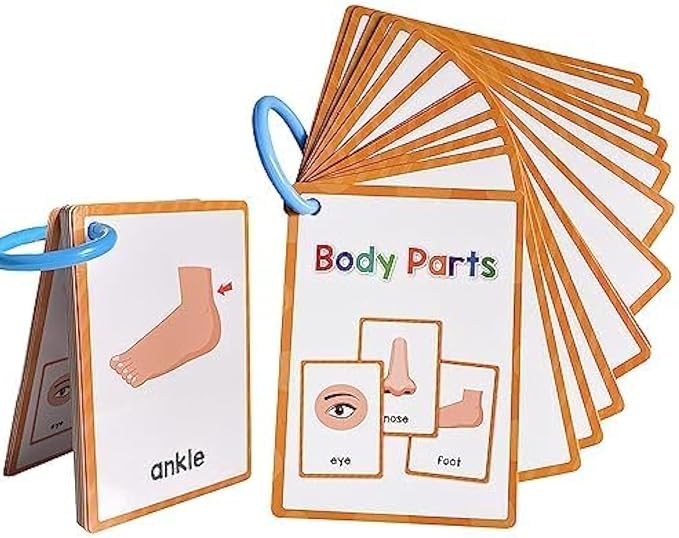 Lachilly Body Parts Learning Flashcards, High Frequency Words, Beginning Reading, Kindergarten to 1st Grade, ESL Teaching Materials, Autism Learning Materials, Vocabulary Building, 15 Cards, 28 Words