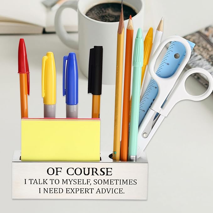 Of Course I Talk to Myself Sometimes I Need Expert Advice,Sarcastic Office Humor Gift for Coworkers Professionals Entrepreneurs, Office Pencil Holder for Desk SD287