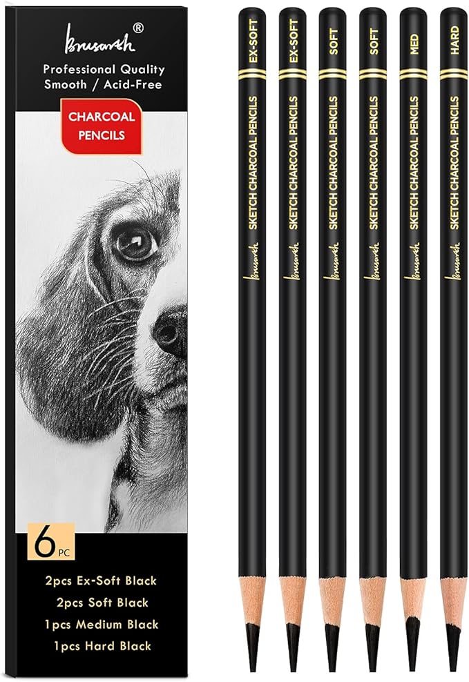 Brusarth Professional Charcoal Pencils Drawing Set - 6 Pieces Soft Medium and Hard Charcoal Pencils for Drawing, Sketching, Shading