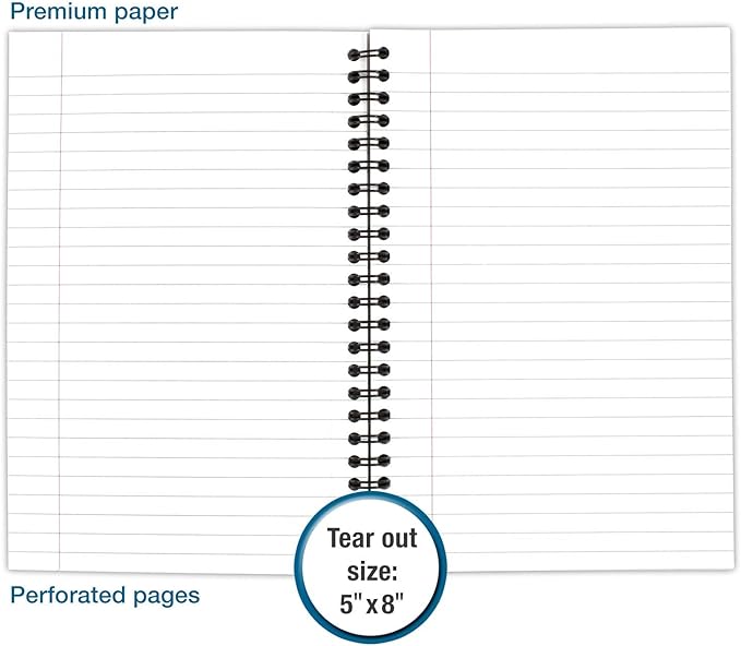 Cambridge Limited Business Notebook, Legal Ruled Paper, 5" x 8", Flexible Soft Touch Cover, Wirebound, Black (06074) 80 Sheets, (Pack of 2)