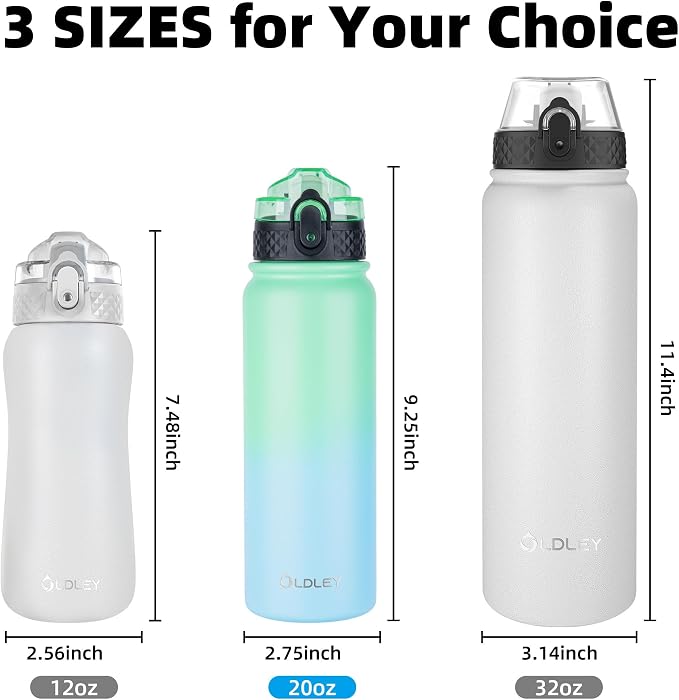 Oldley Insulated Water Bottle 20oz Water Bottles with Straw, Stainless Steel Water Bottle with 3 Lids, Double Wall Vacuum Bottles for Adult Kids, Sports Bottles for School Travel, Leaf Green-Blue