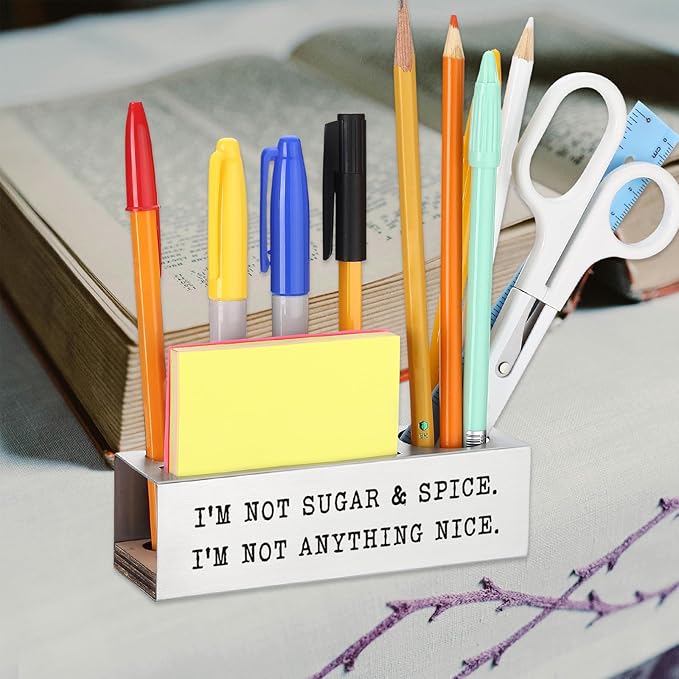 Funny Office Desk for Women, I’M NOT SUGAR & SPICE. I’M NOT ANYTHING NICE, Sarcastic Workplace Humor Gift for Sassy Coworkers & Friends, joke Gift, Office Pencil Holder for Desk SD284