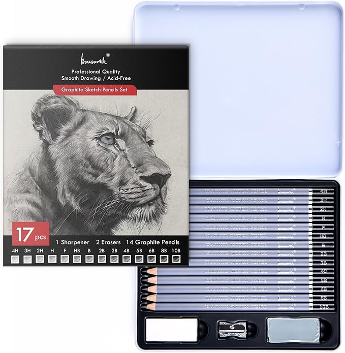 Brusarth Professional Sketch Pencils for Drawing Set - Graphite Pencils (4H-10B), Graphite Sticks, Erasers and Sharpener, Art Pencils for Sketching- Ideal for Artists and Beginners,17Pcs