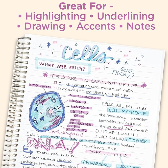 Zebra Pen Mildliner Dual-Tip Highlighter Marker Set, Broad and Fine Point Tips, No Bleed, Ideal for Bible Highlighting, Journaling, School and Office Supplies, Assorted Ink Colors, 25-Pack (78525)