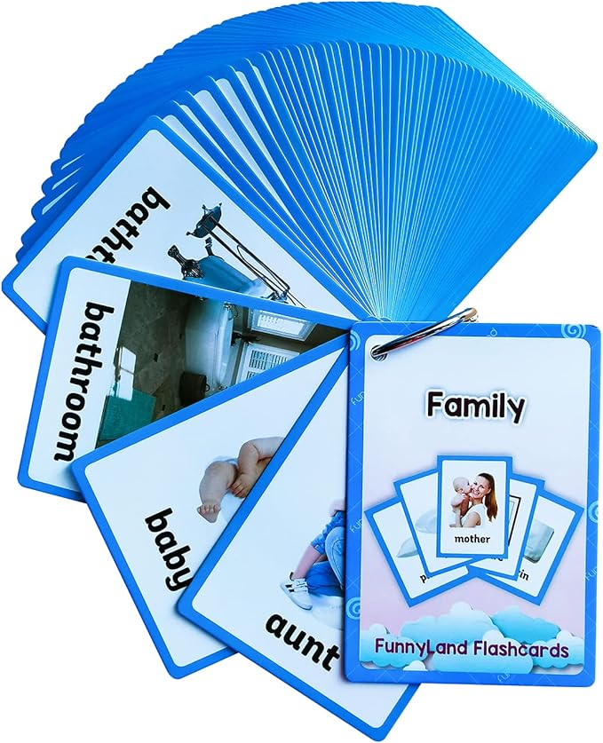Lilias Family Flash Cards, Toddler Learning Toys, Preschool Learning Toys, Homeschool Supplies, Learning Supplies for Kindergarten, 4.3 X 3.14 Inch, 65 Cards in Set