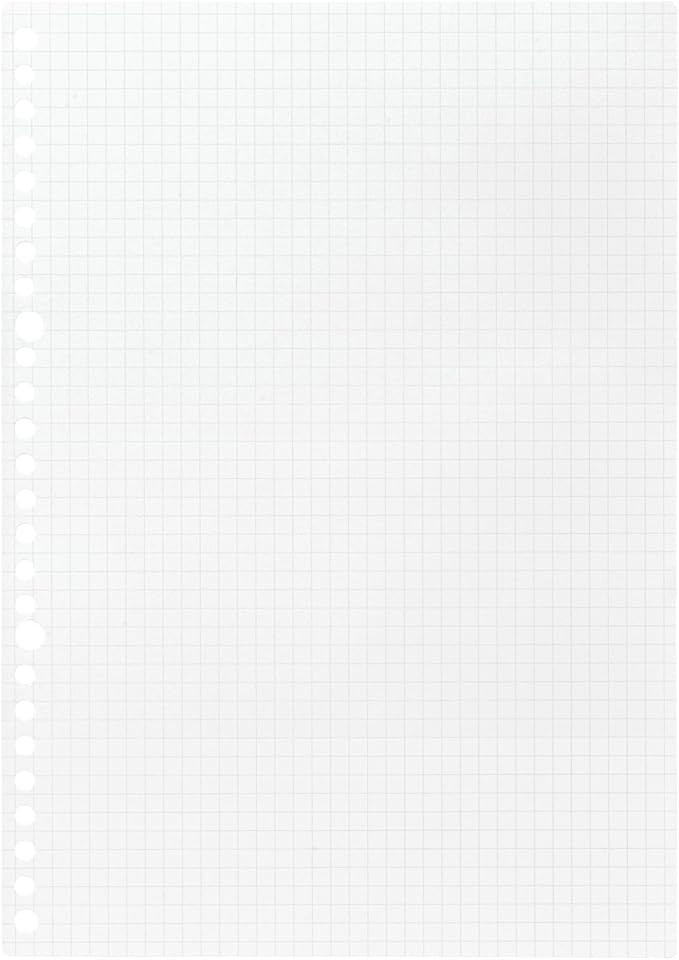 Maruman L1207H Loose Leaf B5 Square 0.2 inch (5 mm), 100 Pieces, Set of 5