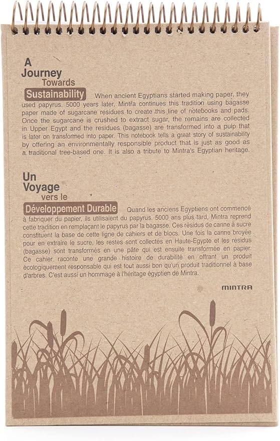 Mintra 100% Recycled Notebooks (Steno Book, Kraft Cover 3pk)