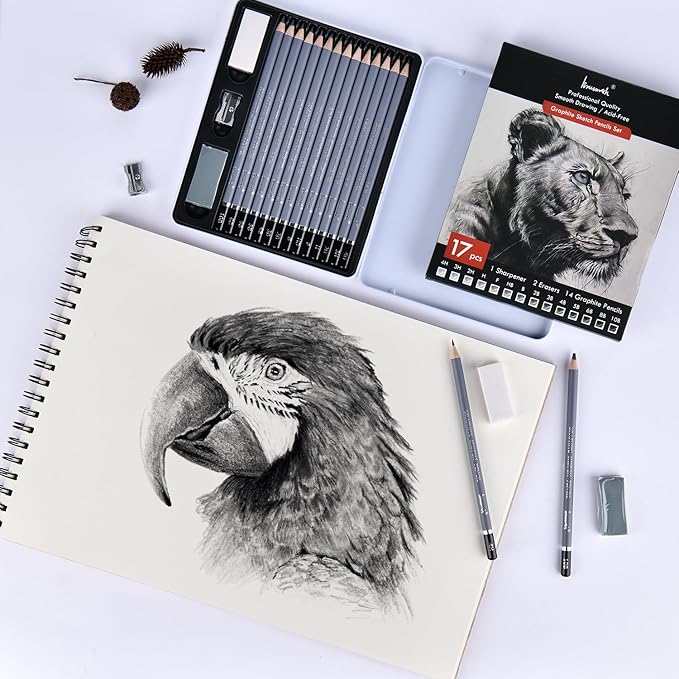 Brusarth Professional Sketch Pencils for Drawing Set - Graphite Pencils (4H-10B), Graphite Sticks, Erasers and Sharpener, Art Pencils for Sketching- Ideal for Artists and Beginners,17Pcs