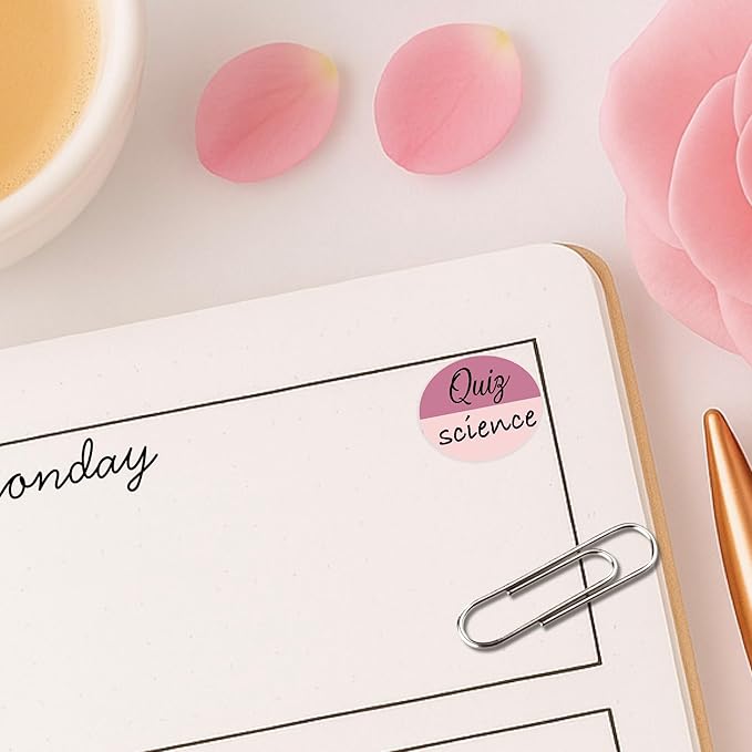 Student Planner Stickers – 48 Matte Vinyl Decals (½ Inch) – Quiz Reminder Labels for School, College, or Teachers – Functional Academic Organization for Bujo and Journaling (3 Sheets)