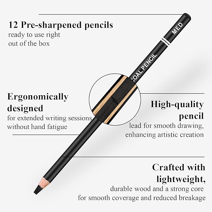 Aenir Charcoal Pencils for drawing, Set of 12, Charcoal Drawing Pencils (S-Soft, Soft, Medium, Hard), Art Supplies for Artist, Sketching, Shading