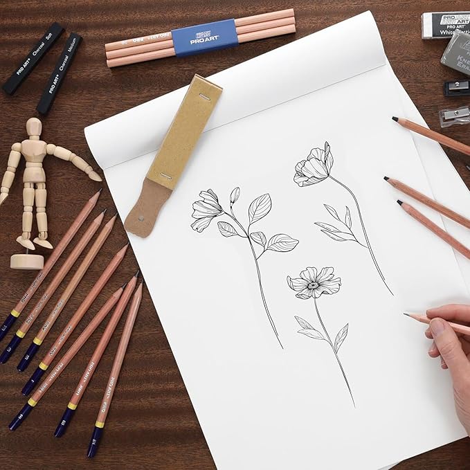 PRO ART Pencils All In One Drawing Kit, Drawing Pencils, Sketch Pencils, Kit, Charcoal Pencils Set, Art Sketching, Pencil Set, Sketching for
